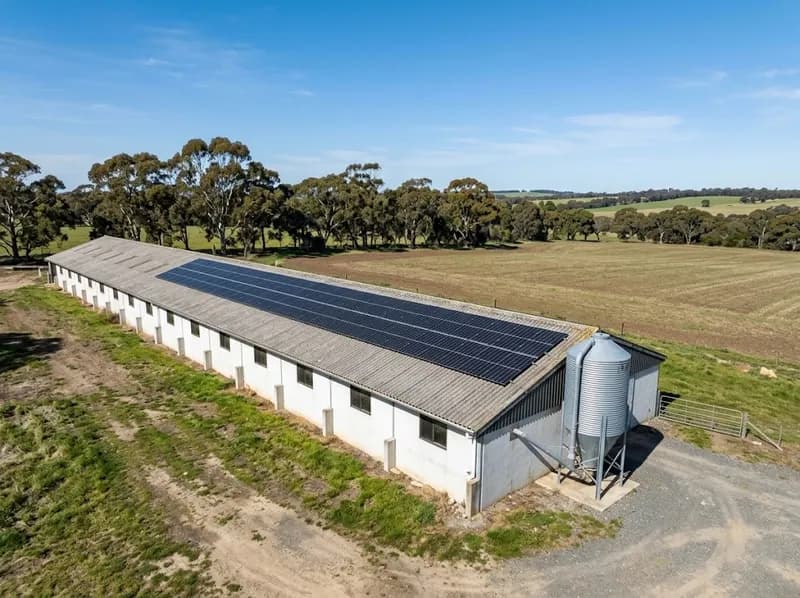 Fila de painéis solares ao longo do telhado de um pavilhão agrícola comprido